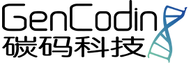 raybet竞技平台